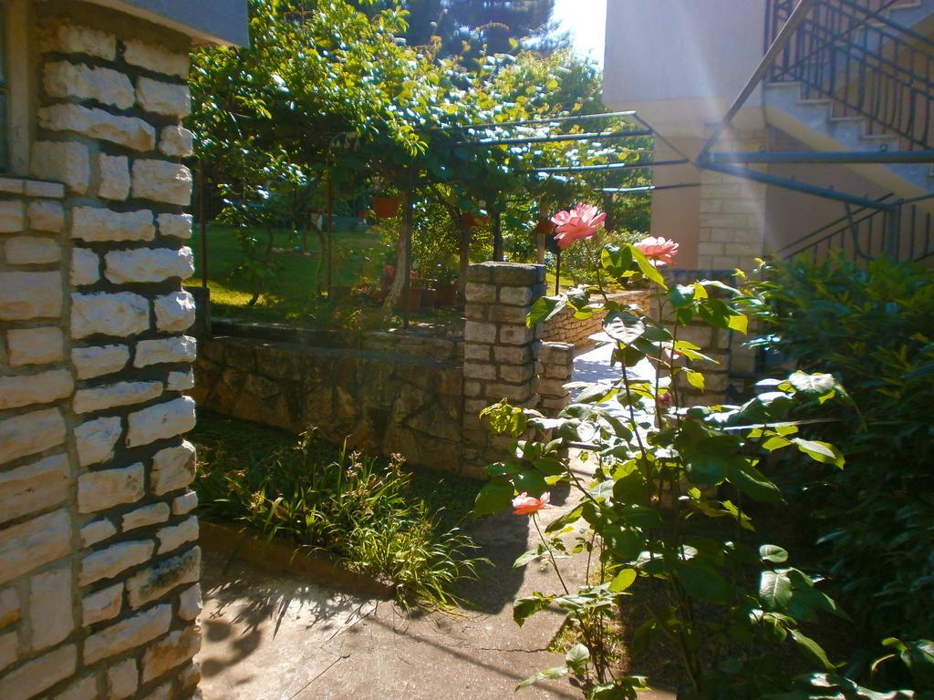 Apartments Villa Anton Poreč Oda fotoğraf